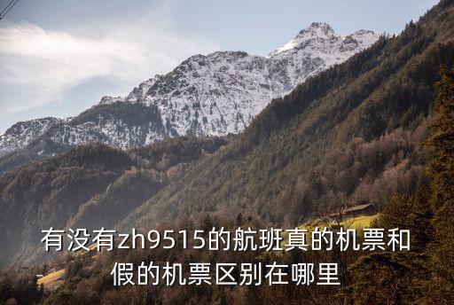 zh9515，有沒有zh9515的航班真的機票和假的機票區(qū)別在哪里