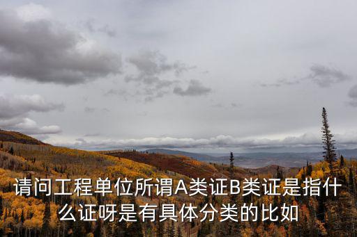 a證是什么，請問工程單位所謂A類證B類證是指什么證呀是有具體分類的比如