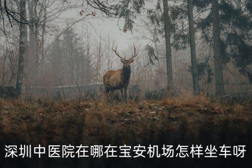 深圳市中醫院地址，深圳中醫院在那