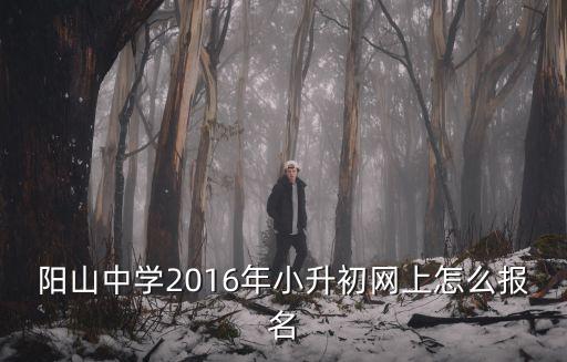 陽山中學2016年小升初網上怎么報名