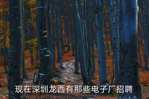 深圳電子廠招聘，請問一下大家去深圳找電子廠普工的工作哪個區(qū)電子廠多一點啊