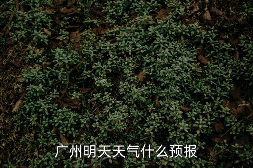 廣州明天天氣什么預(yù)報(bào)