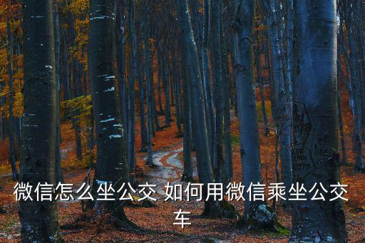 微信怎么坐公交 如何用微信乘坐公交車