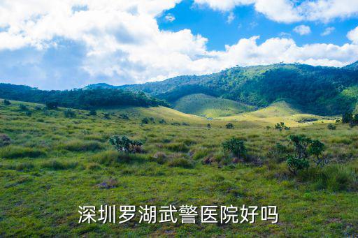 深圳羅湖武警醫院好嗎