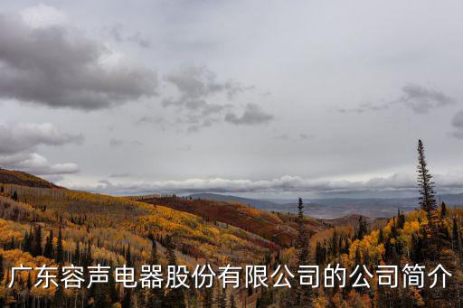 廣東容聲電器股份有限公司，容聲是哪里的牌子