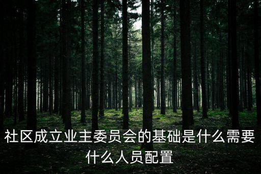 社區成立業主委員會的基礎是什么需要什么人員配置