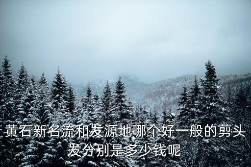 黃石新名流和發(fā)源地哪個好一般的剪頭發(fā)分別是多少錢呢