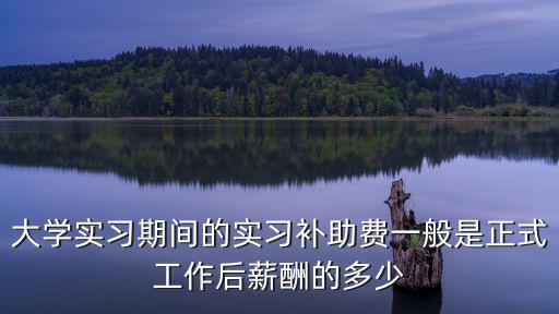 實習補貼，大學生大學生實習期國家補貼有嗎