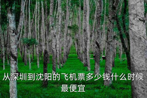 從深圳到沈陽的飛機票多少錢什么時候最便宜