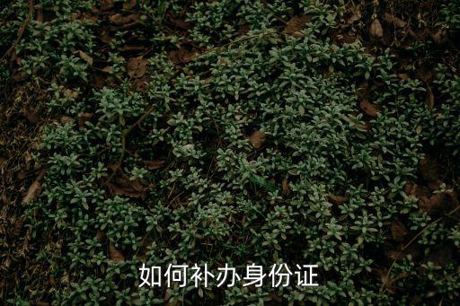 如何補(bǔ)辦身份證