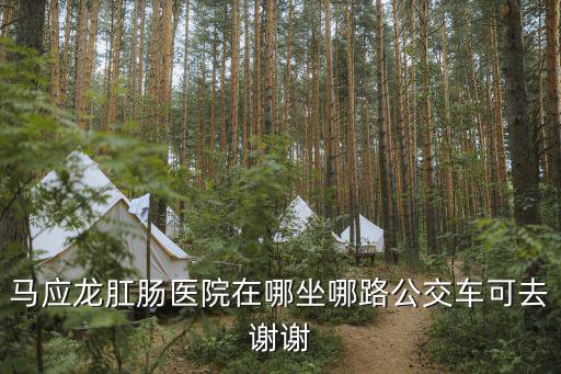 馬應龍肛腸醫院在哪坐哪路公交車可去謝謝
