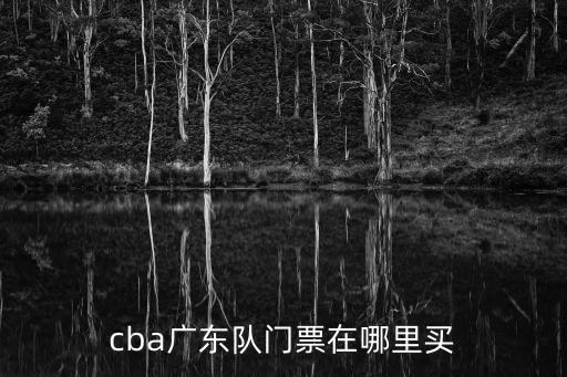 cba廣東隊門票在哪里買