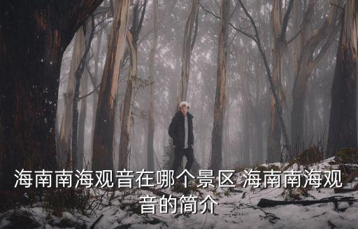 三亞南海觀音，三亞南海觀音的門票是多少