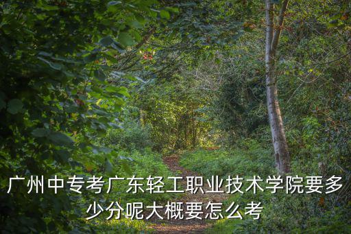 廣州中專考廣東輕工職業技術學院要多少分呢大概要怎么考