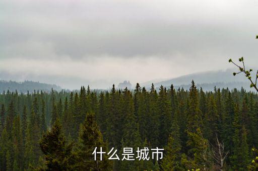 城市綠道，19下列行為哪些是符合交通法規的答案 A和父母在城市綠