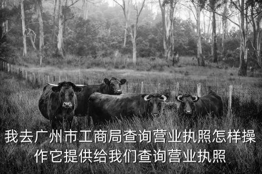 我去廣州市工商局查詢營業執照怎樣操作它提供給我們查詢營業執照