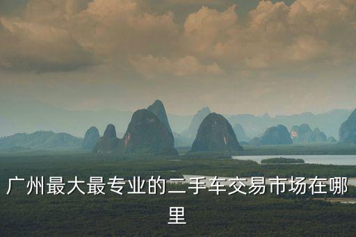 廣州最大最專業的二手車交易市場在哪里