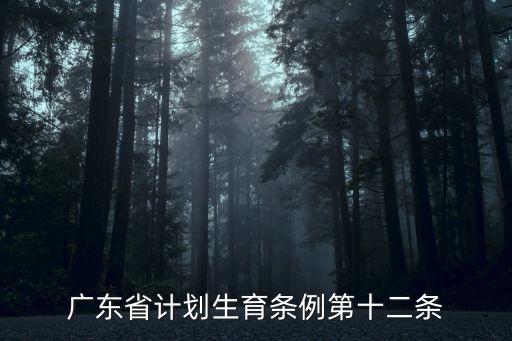 廣東省計(jì)劃生育條例第十二條