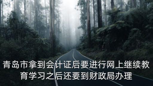 青島市拿到會計證后要進行網(wǎng)上繼續(xù)教育學(xué)習(xí)之后還要到財政局辦理