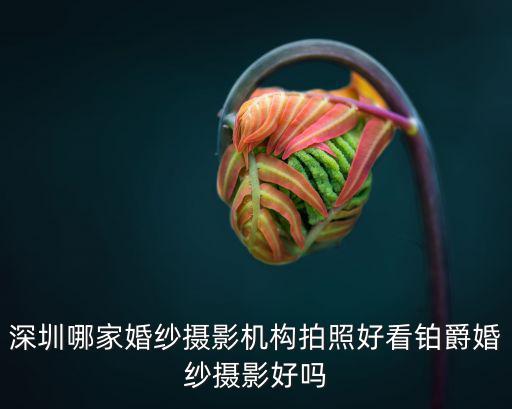 深圳哪家婚紗攝影機構拍照好看鉑爵婚紗攝影好嗎