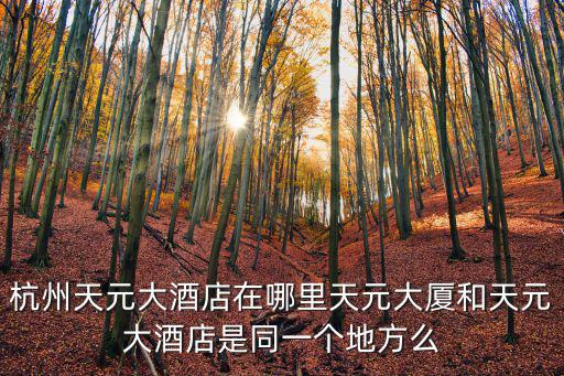 杭州天元大酒店在哪里天元大廈和天元大酒店是同一個地方么