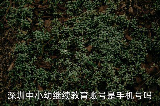 深圳教師繼續教育，深圳教師公開招聘承認網絡教育學歷嗎