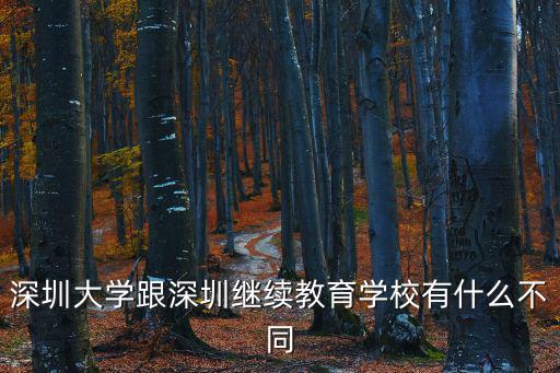 深圳大學跟深圳繼續(xù)教育學校有什么不同