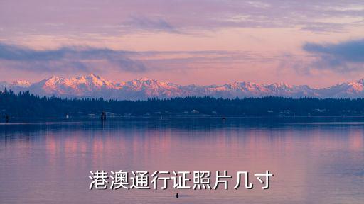 港澳通行證照片幾寸