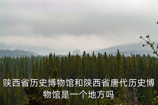 陜西省歷史博物館和陜西省唐代歷史博物館是一個(gè)地方嗎