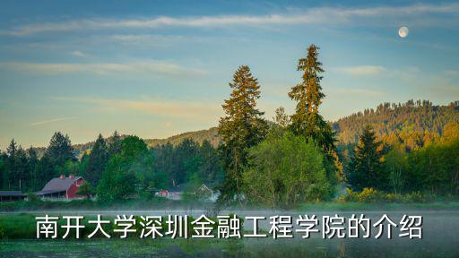 南開大學深圳金融工程學院的介紹