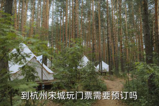 杭州宋城門票多少一張，金華到杭州宋城一日游多少錢