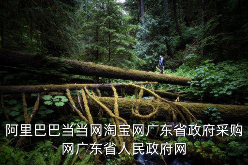 阿里巴巴當(dāng)當(dāng)網(wǎng)淘寶網(wǎng)廣東省政府采購(gòu)網(wǎng)廣東省人民政府網(wǎng)