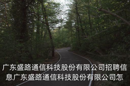 廣東盛路通信科技股份有限公司招聘信息廣東盛路通信科技股份有限公司怎
