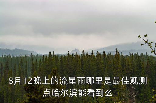 8月12晚上的流星雨哪里是最佳觀測點哈爾濱能看到么