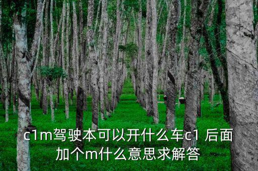 c1m駕駛本可以開什么車c1 后面加個m什么意思求解答