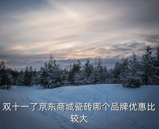 雙十一了京東商城瓷磚哪個品牌優惠比較大