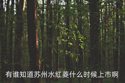有誰知道蘇州水紅菱什么時候上市啊