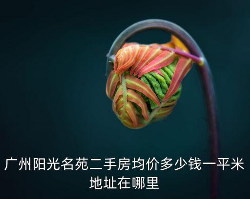 廣州陽(yáng)光名苑二手房均價(jià)多少錢(qián)一平米地址在哪里