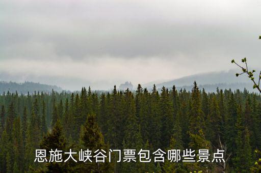 恩施大峽谷官網，恩施州的大峽谷具體位置在哪里
