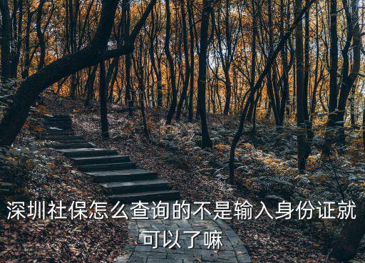 深圳社保怎么查詢的不是輸入身份證就可以了嘛