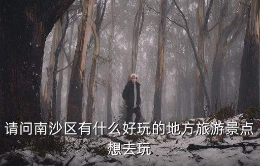 請問南沙區有什么好玩的地方旅游景點想去玩