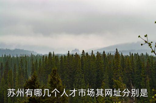 蘇州有哪幾個人才市場其網址分別是