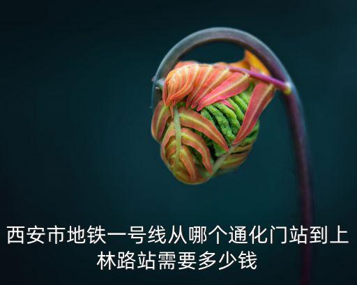 西安市地鐵一號線從哪個通化門站到上林路站需要多少錢