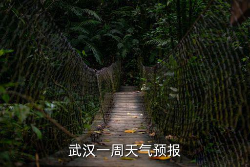 武漢一周天氣預報