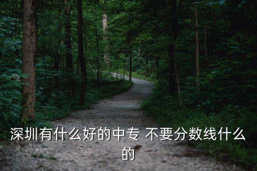 深圳有什么好的中專 不要分數線什么的