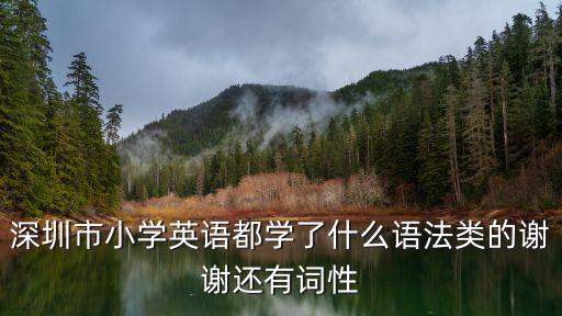 深圳市小學(xué)英語(yǔ)都學(xué)了什么語(yǔ)法類(lèi)的謝謝還有詞性