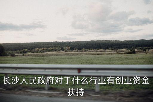 創業扶持，長沙人民政府對于什么行業有創業資金扶持