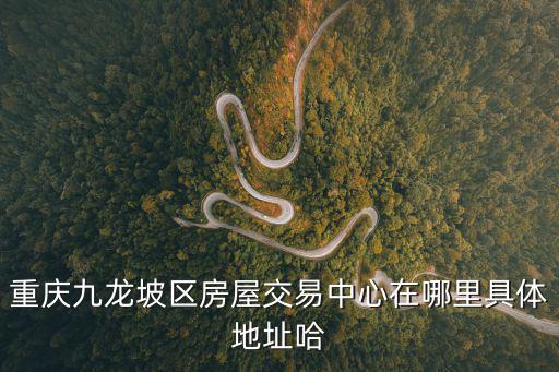 重慶九龍坡區(qū)房屋交易中心在哪里具體地址哈