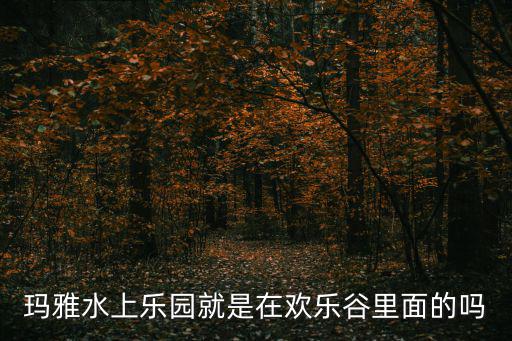 瑪雅水上樂園就是在歡樂谷里面的嗎