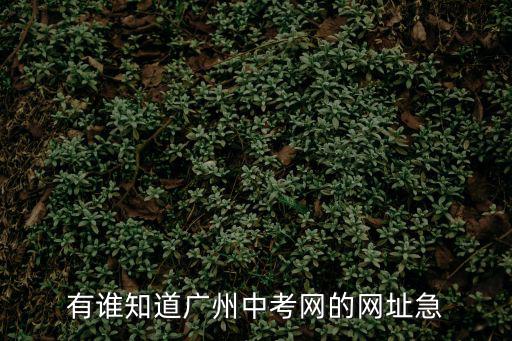 有誰知道廣州中考網的網址急